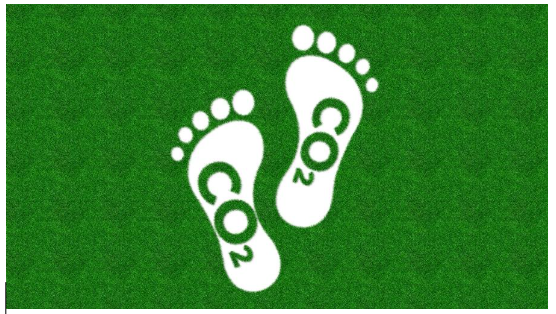 Neutralização de carbono: sustentabilidade na operação e nos produtos